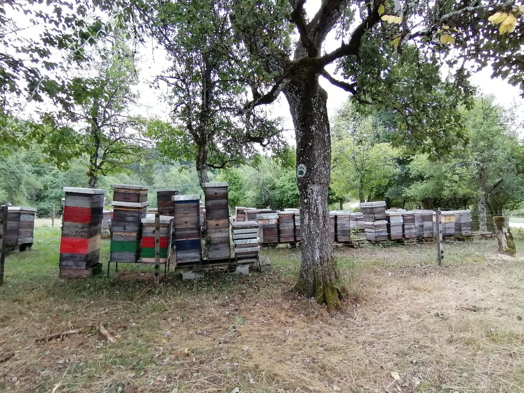 Notranjska